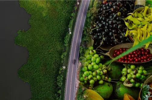 Aumentan las ventas en los Montes de María