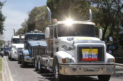 Millonarias perdidas por paro de transportadores