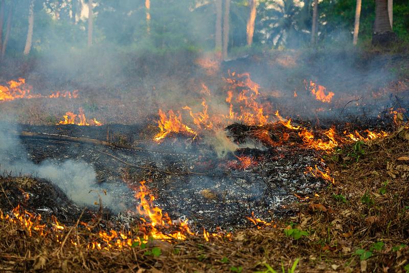 Cormacarena advierte sobre incendios forestales