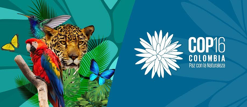 Colombia Sostenible presenta avances en la COP 16