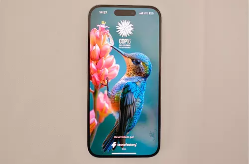 MinTIC lanza app para COP16 con foco en conectividad