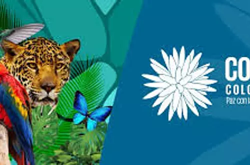 La COP16 despierta la conciencia de los colombianos