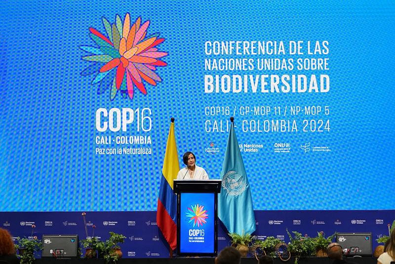 Colombia lidera la COP16: un llamado urgente a la paz