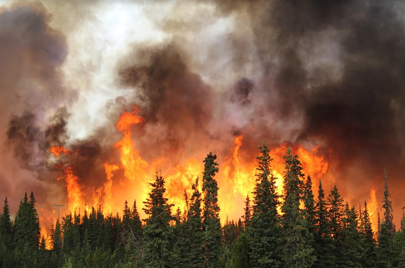 Los Incendios forestales crecen por el cambio climático