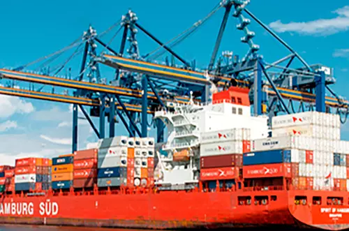 Exportaciones agropecuarias en Colombia suben un 24,5%