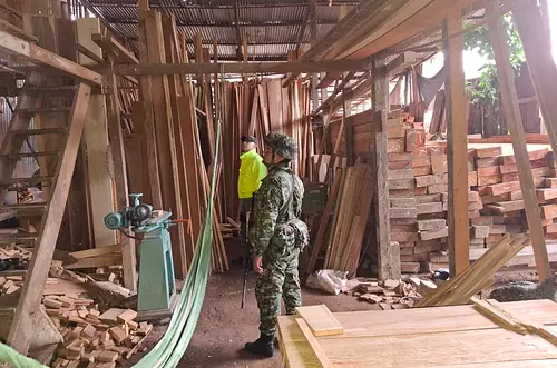 Capturan red de tala ilegal en la Amazonía colombiana