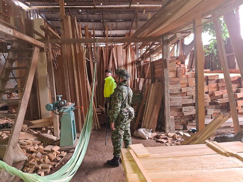 Capturan red de tala ilegal en la Amazonía colombiana