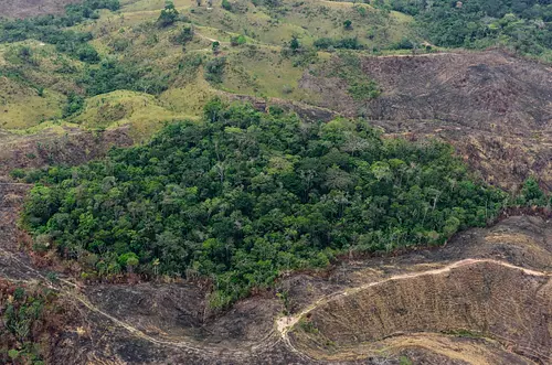 Deforestación y corrupción ponen en jaque a Colombia