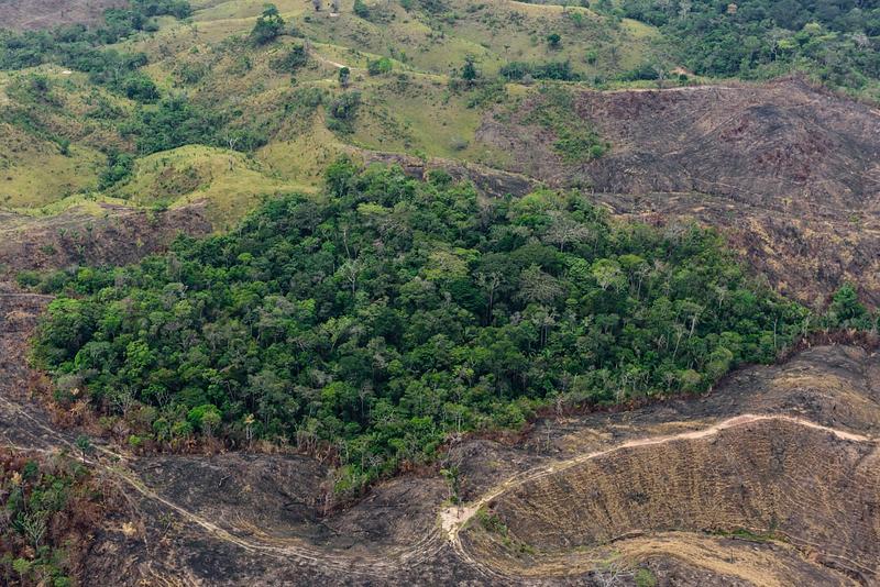 Deforestación y corrupción ponen en jaque a Colombia