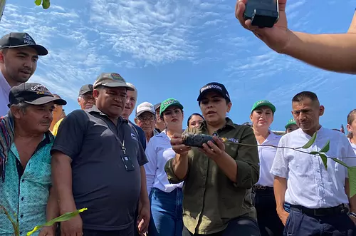 Firman acuerdos para cuidar bosques en el Meta