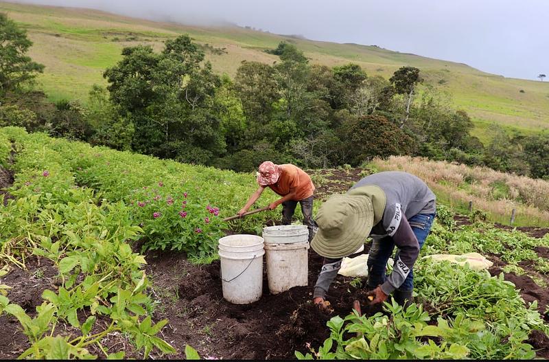 Agricultura impulsa el crecimiento económico de Colombia