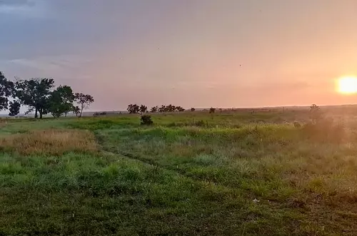 URT reclama miles de hectáreas para resguardo indígena