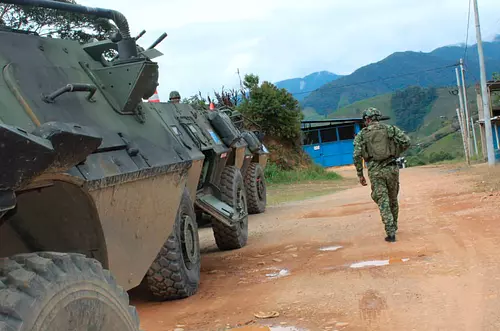 Incrementan combates y la incautación de cocaína en 2024