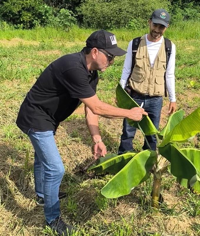 Ecopetrol impulsa la educación agropecuaria en Acacías