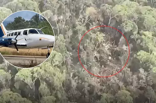 Hallan restos de la avioneta desaparecida. Esto se sabe