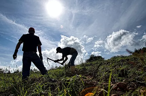 Gobierno Nacional avanza en la restitución de tierras