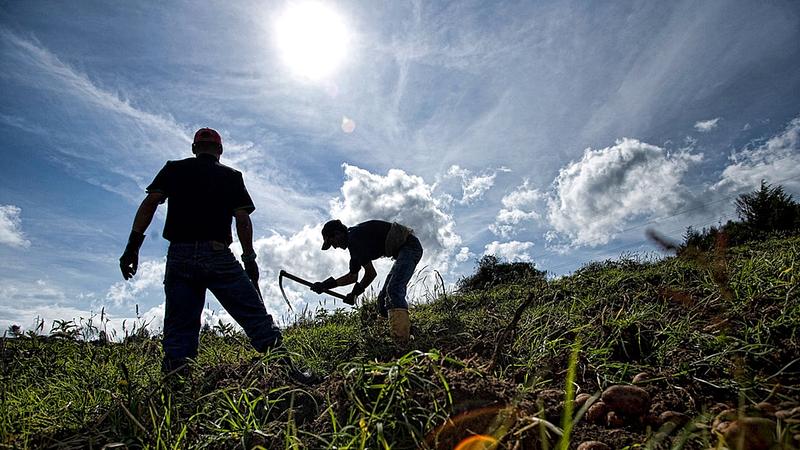 Gobierno Nacional avanza en la restitución de tierras