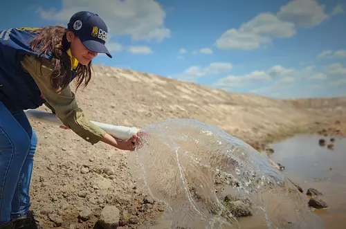 Brota agua en Paz de Ariporo. vida para fauna y ganadería