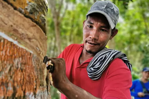 Industria del caucho en Colombia: un futuro prometedor