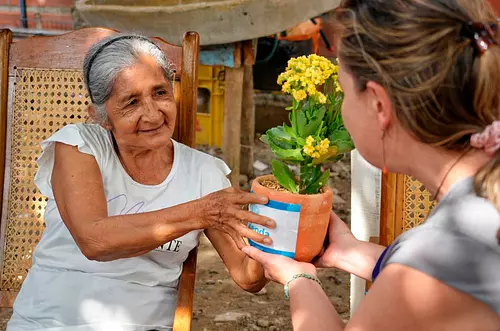 Gobierno destina $10.038 millones para mejorar viviendas