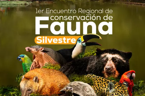 Villavicencio será sede del encuentro sobre fauna silvestre