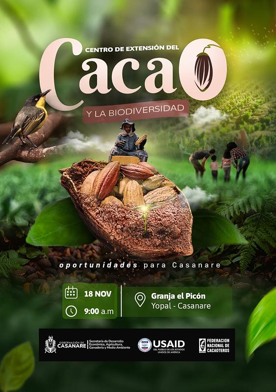 Nuevo centro en Casanare Revoluciona la producción de cacao