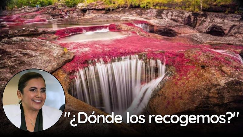 Caño Cristales, un destino turístico seguro para los Japones