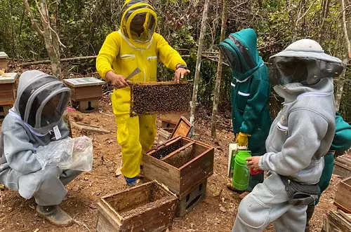 Millonaria inversión para los emprendimientos rurales