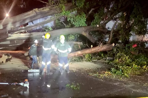 Fuerte aguacero en Cali causa apagones y caída de árboles