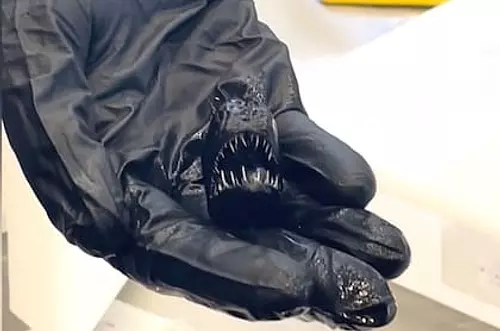 Sorprendente: revelan el tamaño real del pez diablo