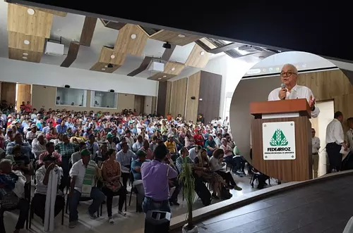 Agricultores exigen precio justo para el arroz en El Espinal