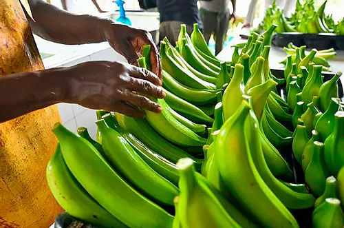 Grandes protagonistas en el crecimiento de la economía