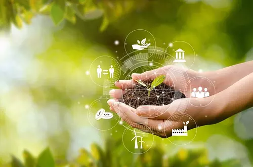 2,1 Billones en regalías para la conservación de territorios