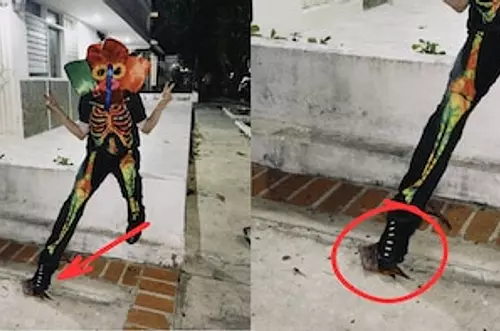 Venden una hoja que Shakira pisó por un millón de pesos