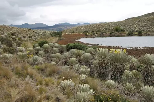 La ANT lleva la reforma agraria al corazón de Sumapaz