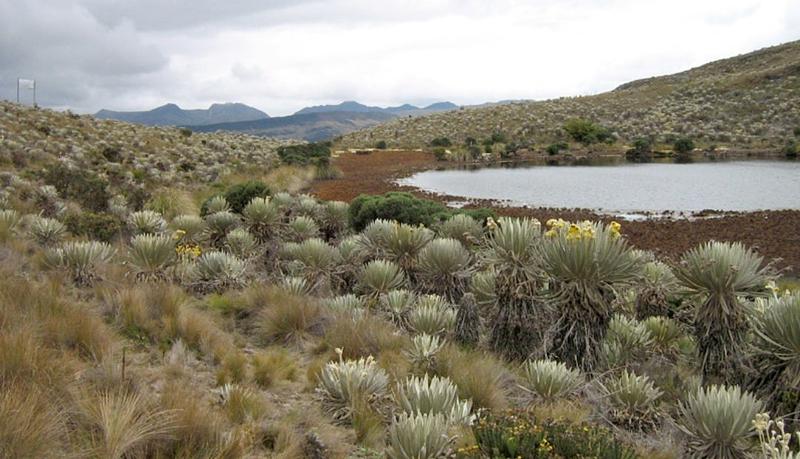 La ANT lleva la reforma agraria al corazón de Sumapaz