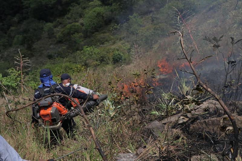 Cómo prevenir incendios forestales en temporada seca