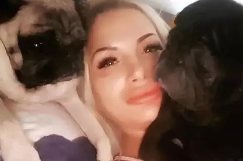 Mujer muere en su casa y sus perros la devoran