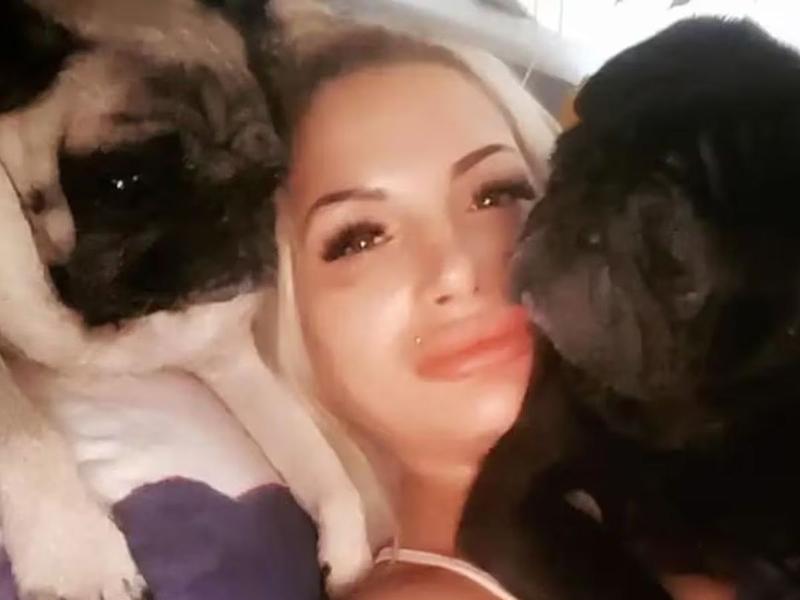 Mujer muere en su casa y sus perros la devoran