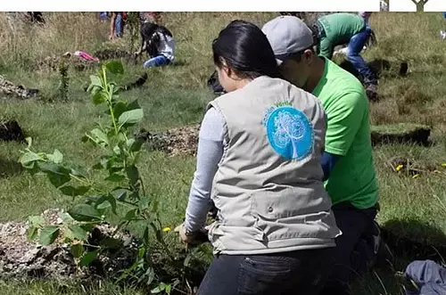 Alianza estratégica para reforestar la Amazonía colombiana
