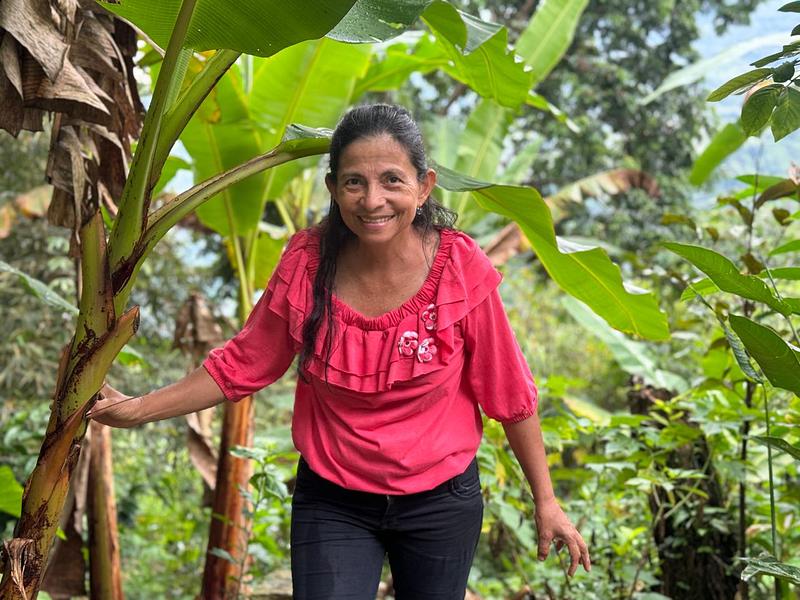 Ecopetrol y campesinos conservan 2.480 hectáreas de bosque