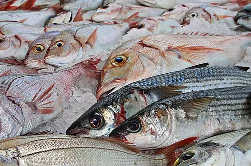 Este es el pescado ideal para Semana Santa