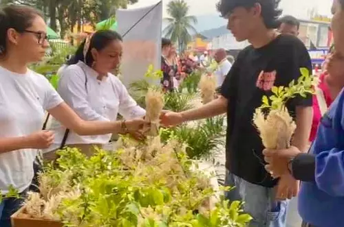 ¿Plántulas en Semana Santa? Así lo promueve el Meta