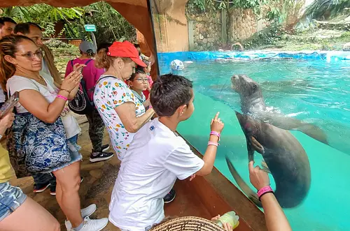 ¿Planes en Semana Santa? Este le va a sorprender