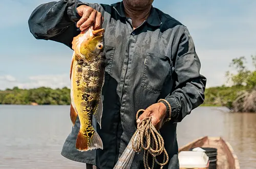 Prohíben pesca en seis departamentos del país