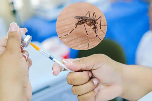 Meta activa alerta sanitaria por fiebre amarilla