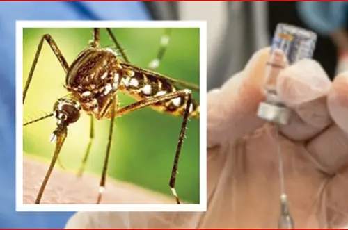 Fiebre amarilla en Colombia: esto debe saber ya