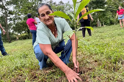 El Departamento del Meta conmemora el Día Nacional del Árbol