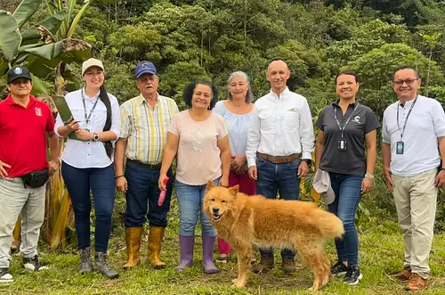 Pagan millones a campesinos por salvar los bosques del Meta