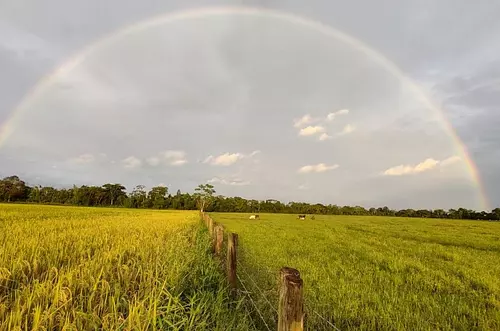 Crisis arrocera: el paro sigue y exigen soluciones